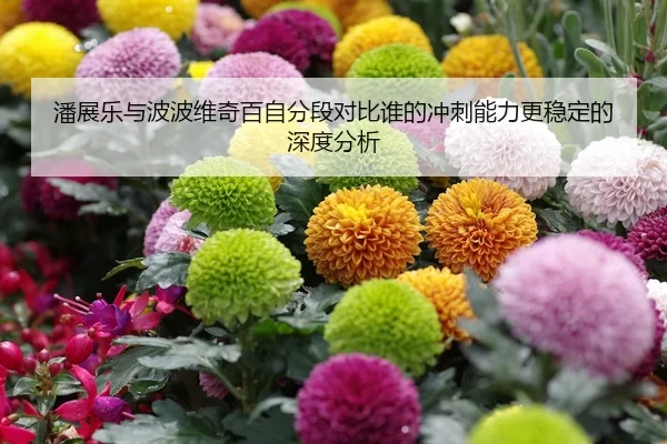 潘展乐与波波维奇百自分段对比谁的冲刺能力更稳定的深度分析