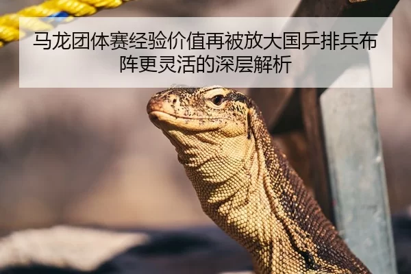 马龙团体赛经验价值再被放大国乒排兵布阵更灵活的深层解析