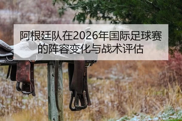 阿根廷队在2026年国际足球赛的阵容变化与战术评估