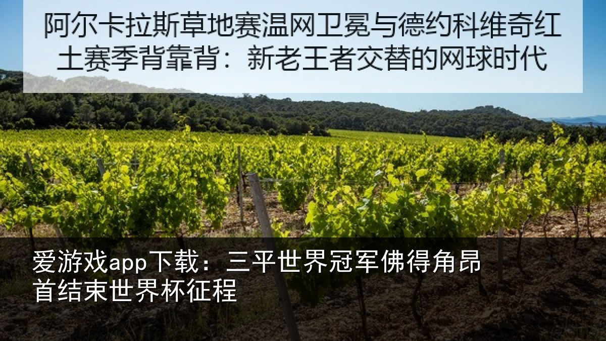 爱游戏app下载：三平世界冠军佛得角昂首结束世界杯征程