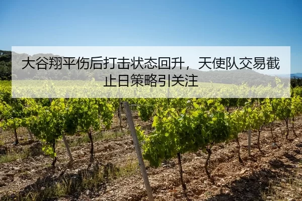 大谷翔平伤后打击状态回升，天使队交易截止日策略引关注
