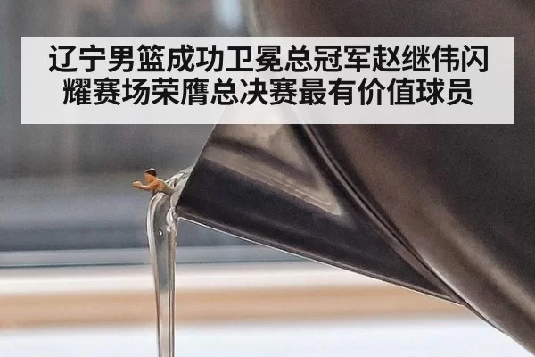 辽宁男篮成功卫冕总冠军赵继伟闪耀赛场荣膺总决赛最有价值球员
